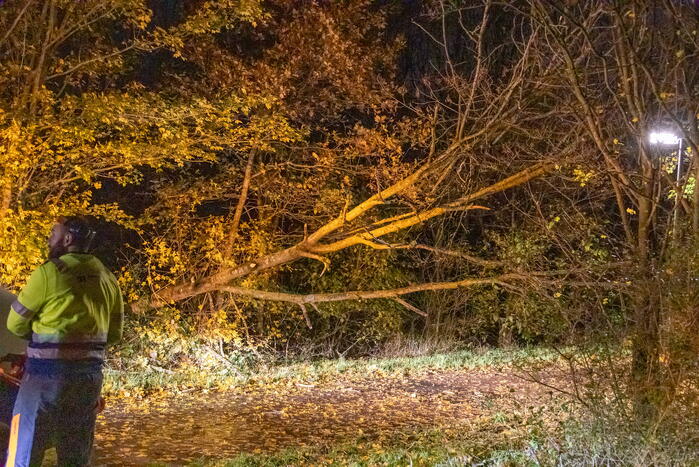 Scooterrijder gewond bij botsing met omgewaaide boom
