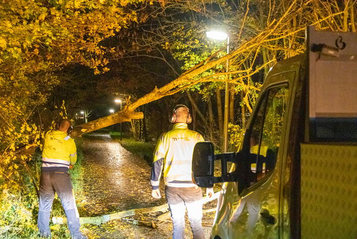 Scooterrijder gewond bij botsing met omgewaaide boom