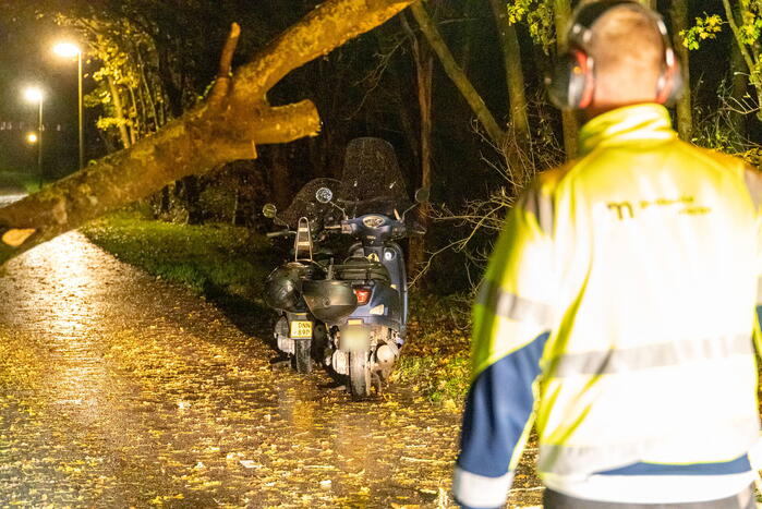 Scooterrijder gewond bij botsing met omgewaaide boom