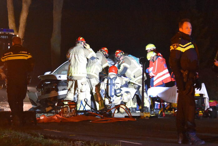 Automobilist eindigt tegen boom