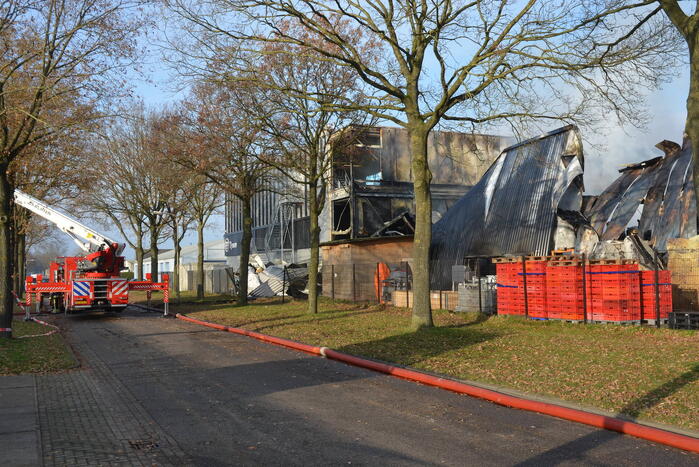 Bedrijfspand verwoest door vlammenzee