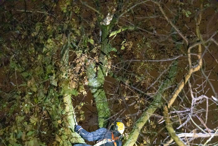 Brandweer ingezet voor vermiste serval