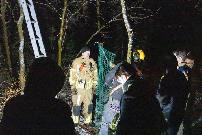 Brandweer ingezet voor vermiste serval