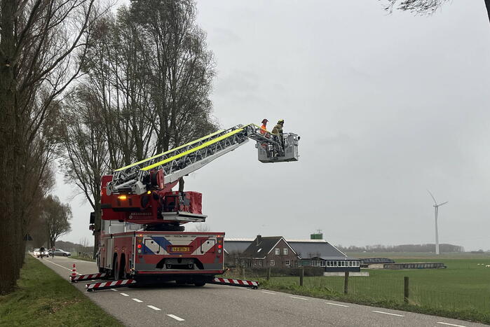 Grote tak dreigt uit boom te waaien