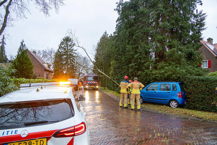 Automobilist rijdt boom omver