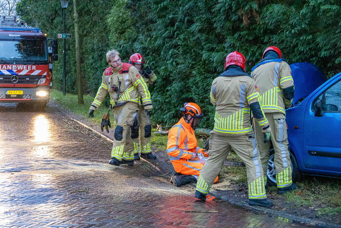 Automobilist rijdt boom omver