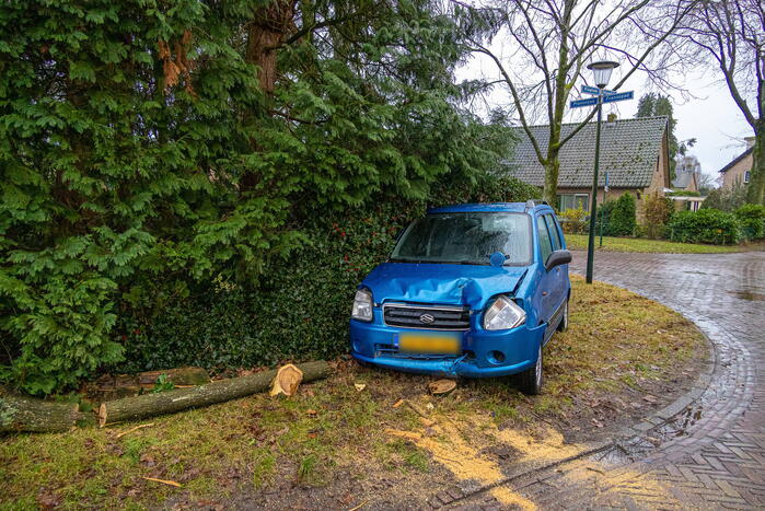 Automobilist rijdt boom omver