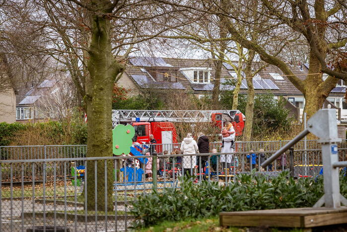 Kat springt uit hoge boom bij reddingsactie