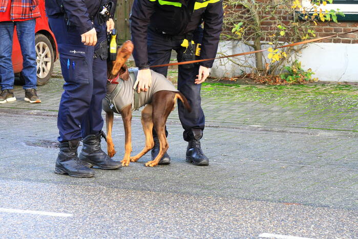 Brandweer heeft schoorsteenbrand snel onder controle