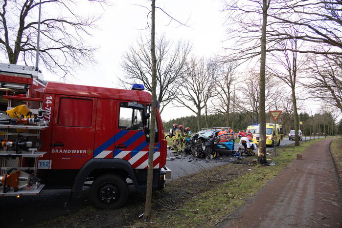 Bestuurder van bestelbus botst op boom