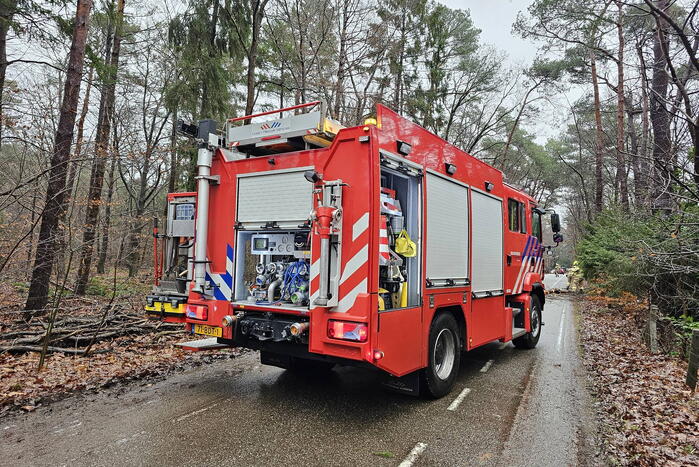 Twee bomen geveld door storm Pia