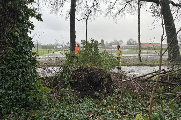 Omgevallen boom verspert weg