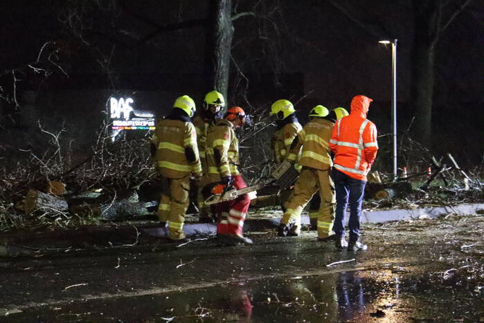Meerdere bomen omver door storm