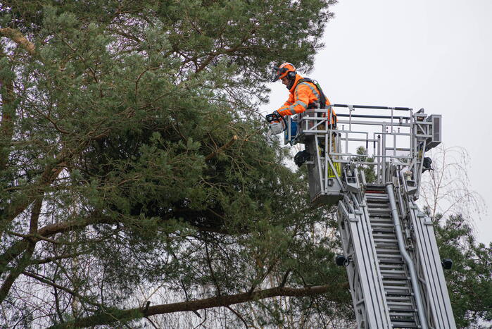 Gevaarlijk hangende tak verwijderd