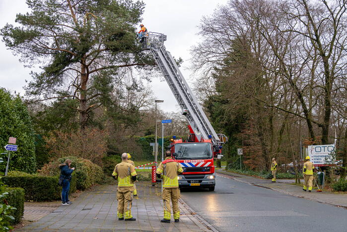 Gevaarlijk hangende tak verwijderd