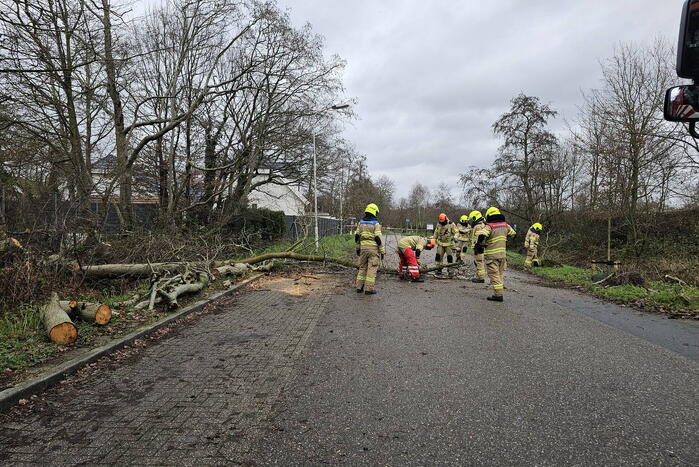 Boom dreigt op weg te vallen