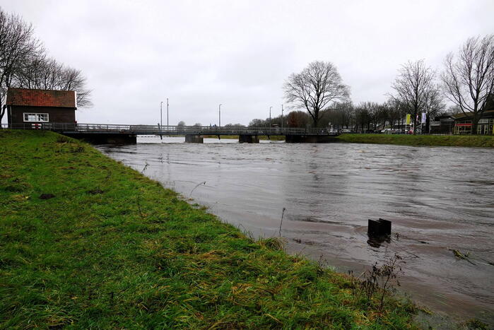 Hoogwater zet uiterwaarden van de Vecht onder water