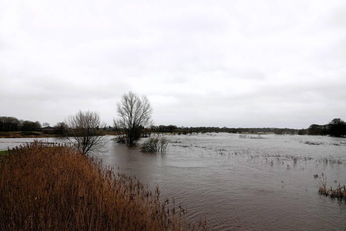 Hoogwater zet uiterwaarden van de Vecht onder water
