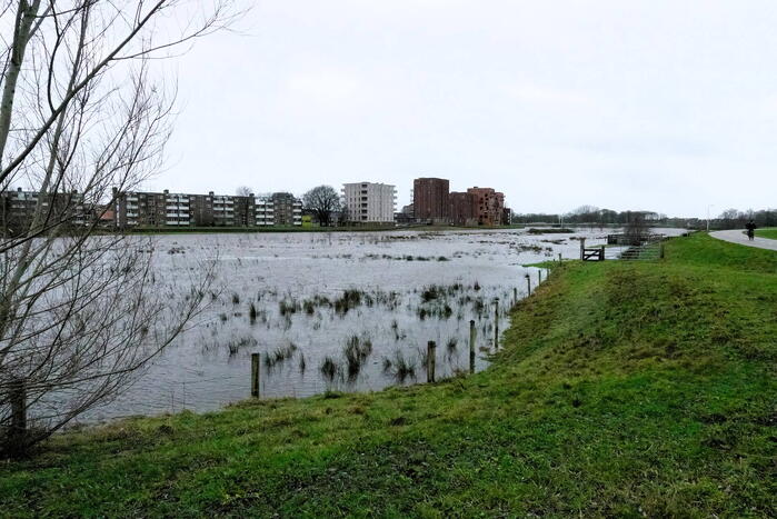 Hoogwater zet uiterwaarden van de Vecht onder water