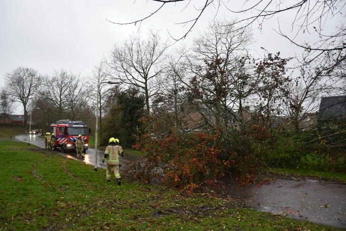 Omgewaaide boom verspert weg