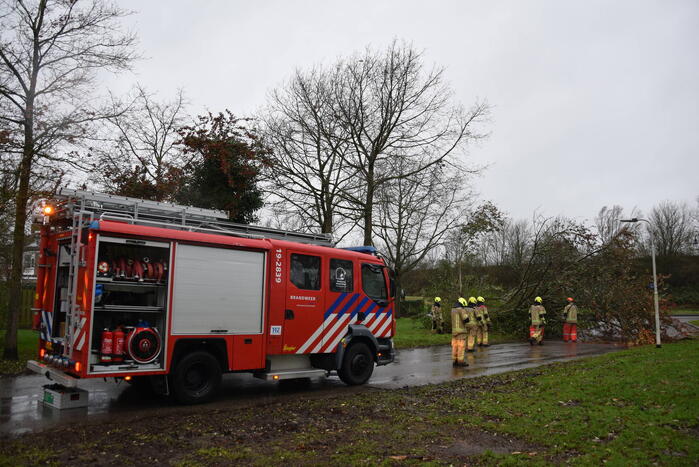 Omgewaaide boom verspert weg