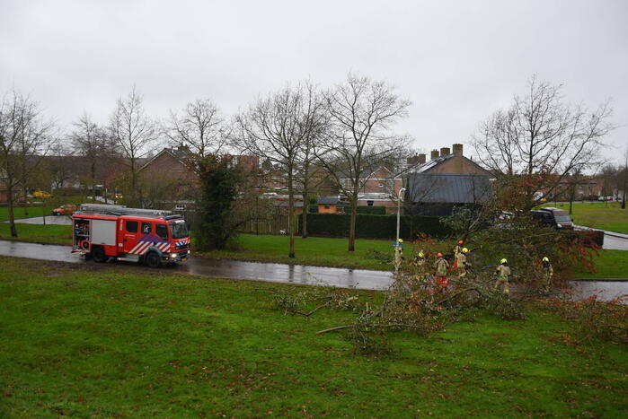 Omgewaaide boom verspert weg