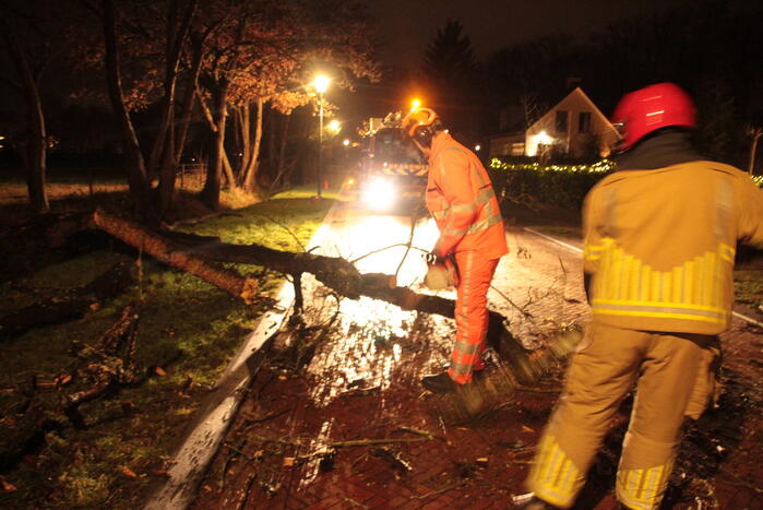 Boom valt op weg door harde wind