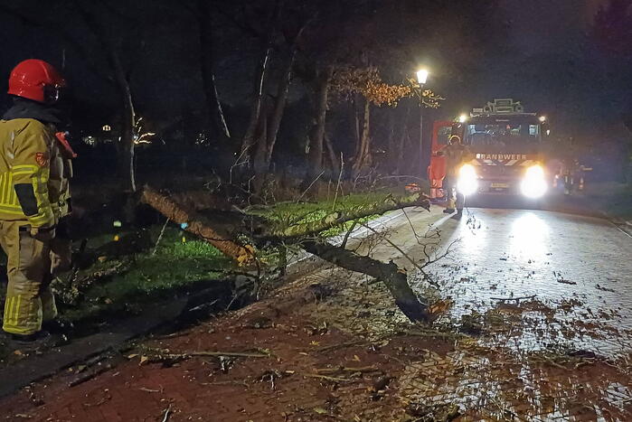 Boom valt op weg door harde wind