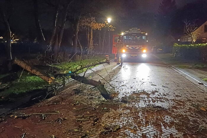 Boom valt op weg door harde wind