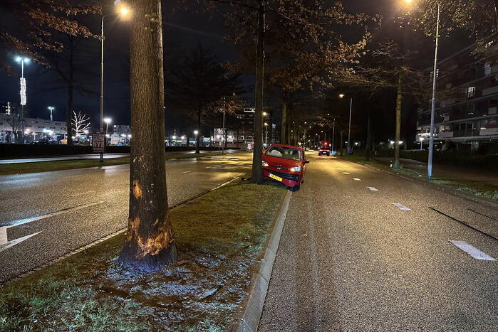 Bejaard echtpaar gewond bij botsing tegen boom