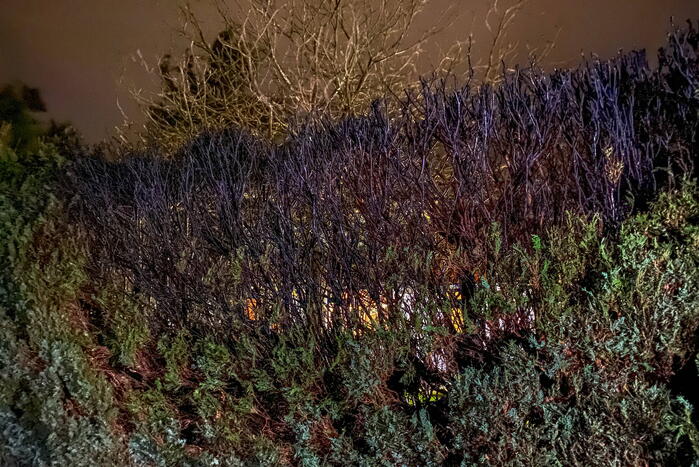 Heg vat vlam door vuurwerk