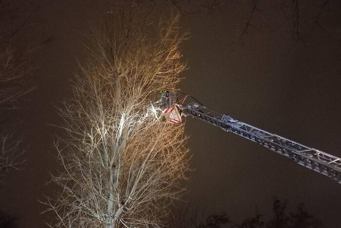 Noordwijkerweg 112 nieuws Rijnsburg 