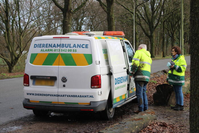 Dier gered door brandweer