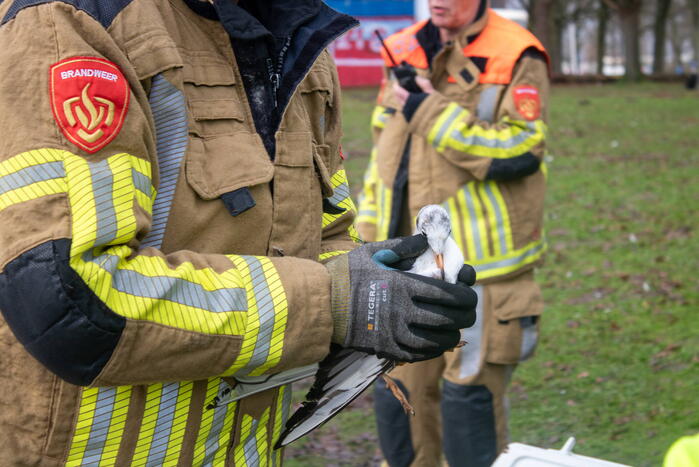 Dier gered door brandweer