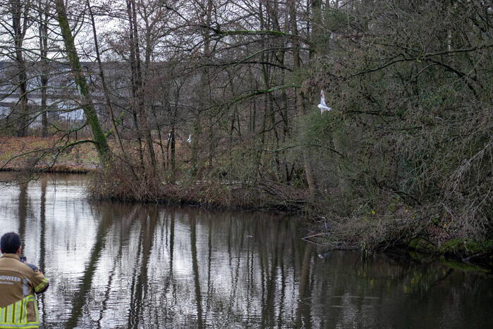 Dier gered door brandweer