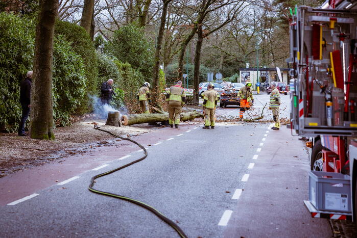 Boom in stukken gezaagd na brand