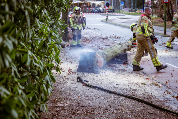 Boom in stukken gezaagd na brand