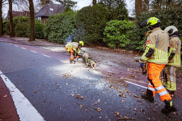 Boom in stukken gezaagd na brand
