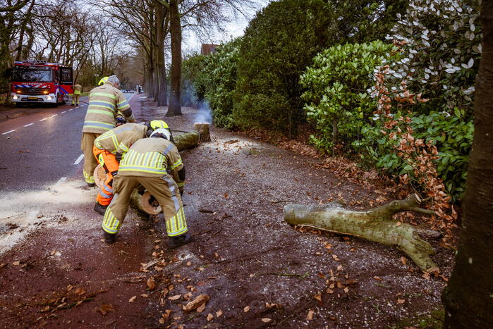 Boom in stukken gezaagd na brand