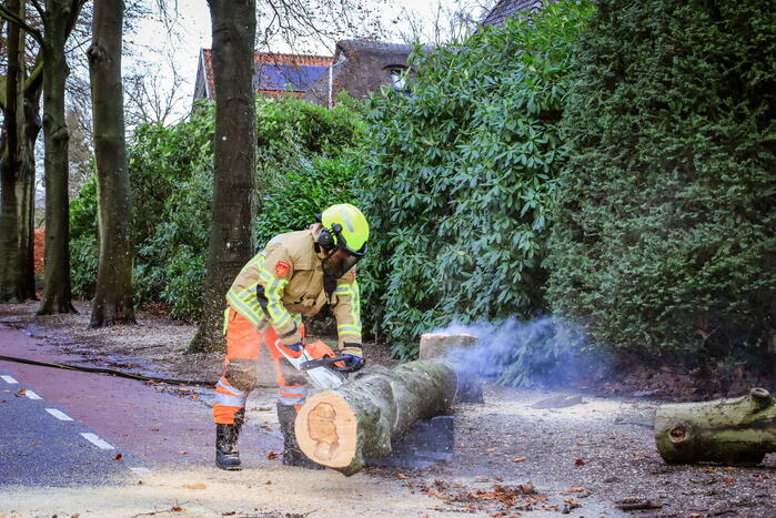 Boom in stukken gezaagd na brand