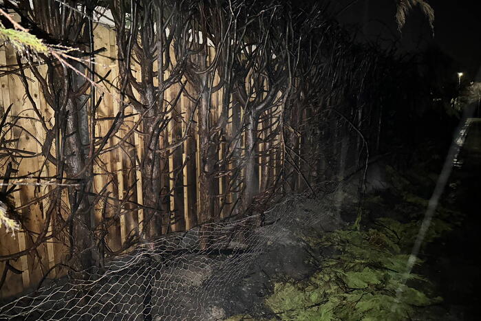 Felle brand in coniferenhaag