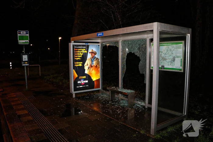 Bushokjes vernield door vuurwerk