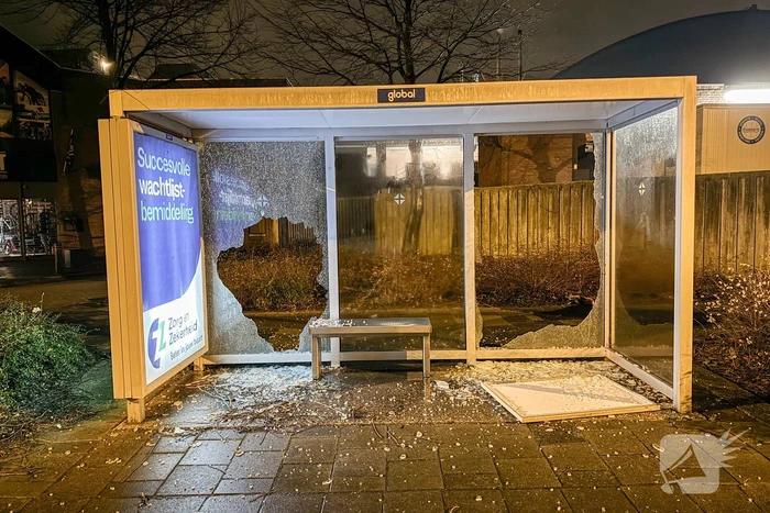 Bushokjes vernield door vuurwerk