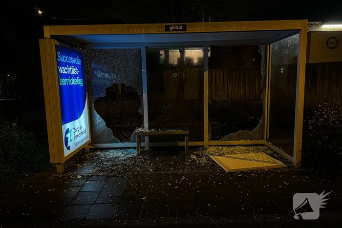 Bushokjes vernield door vuurwerk
