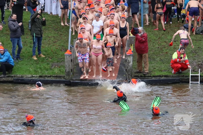 Grote belangstelling voor nieuwjaarsduik