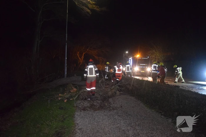 Brandweer en hovenier zagen omgewaaide boom in stukken