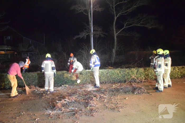 Brandweer en hovenier zagen omgewaaide boom in stukken