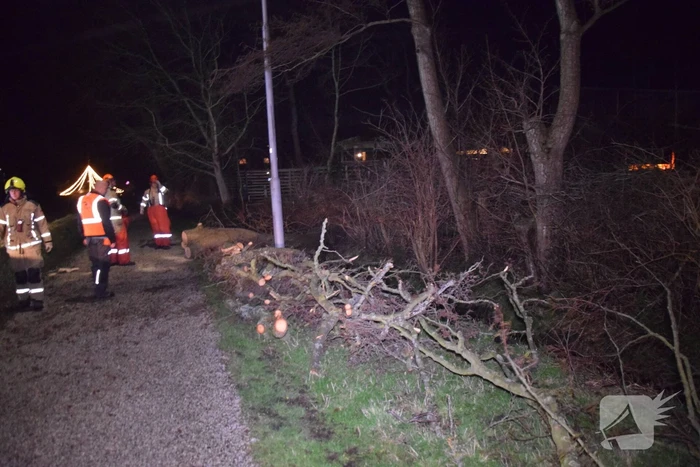 Brandweer en hovenier zagen omgewaaide boom in stukken