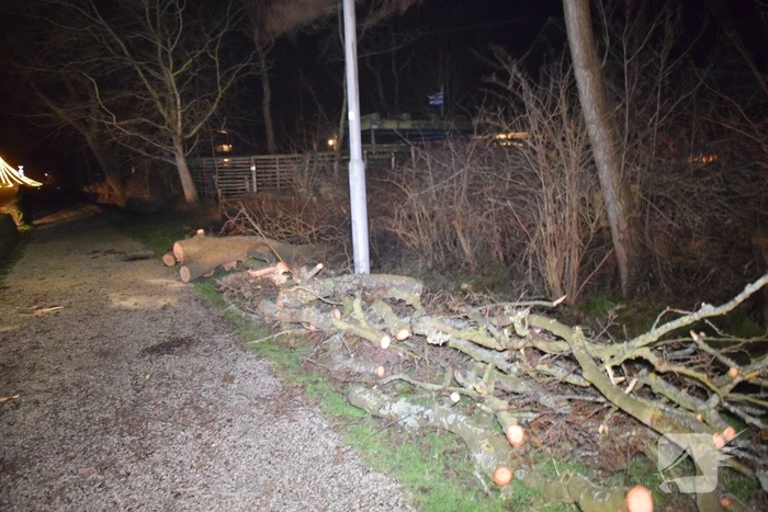 Brandweer en hovenier zagen omgewaaide boom in stukken