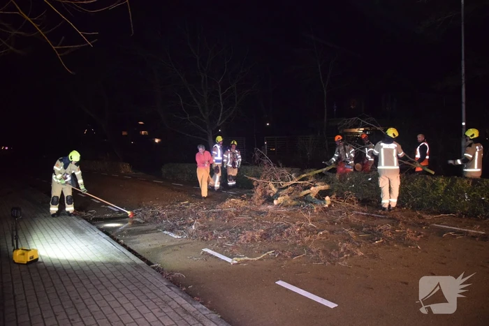 Brandweer en hovenier zagen omgewaaide boom in stukken